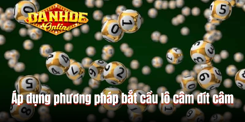 Áp dụng phương pháp bắt cầu lô câm đít câm